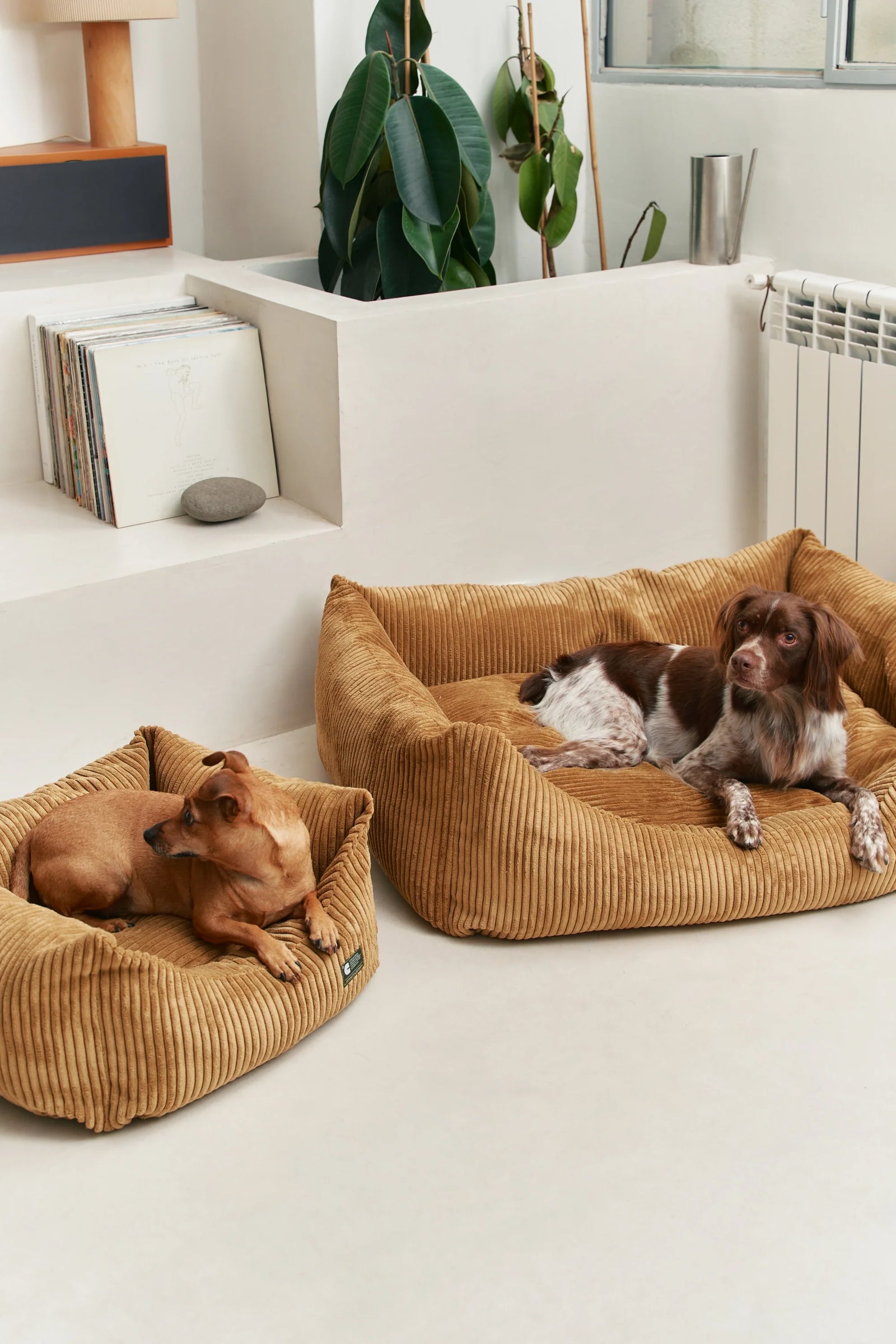 PETS LIVING