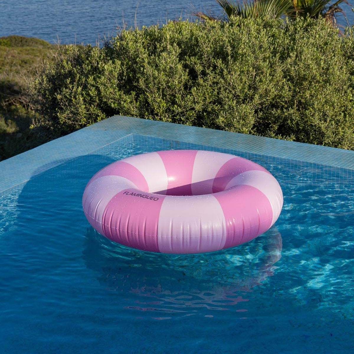 Float - Sorbetto