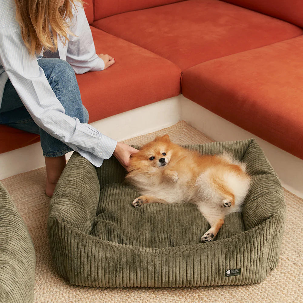 Dog Bed - Snozy