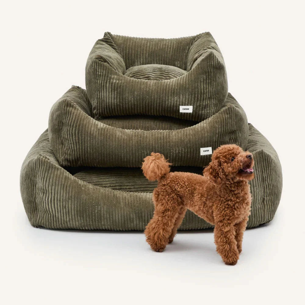 Dog Bed - Snozy