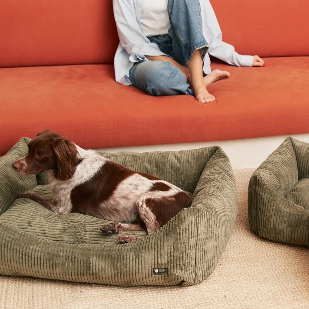 Dog Bed - Snozy