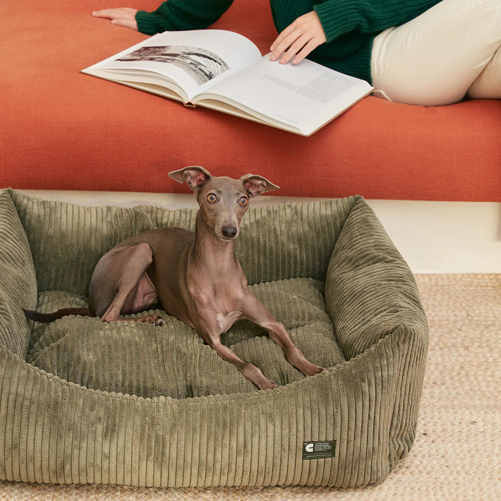 Dog Bed - Snozy