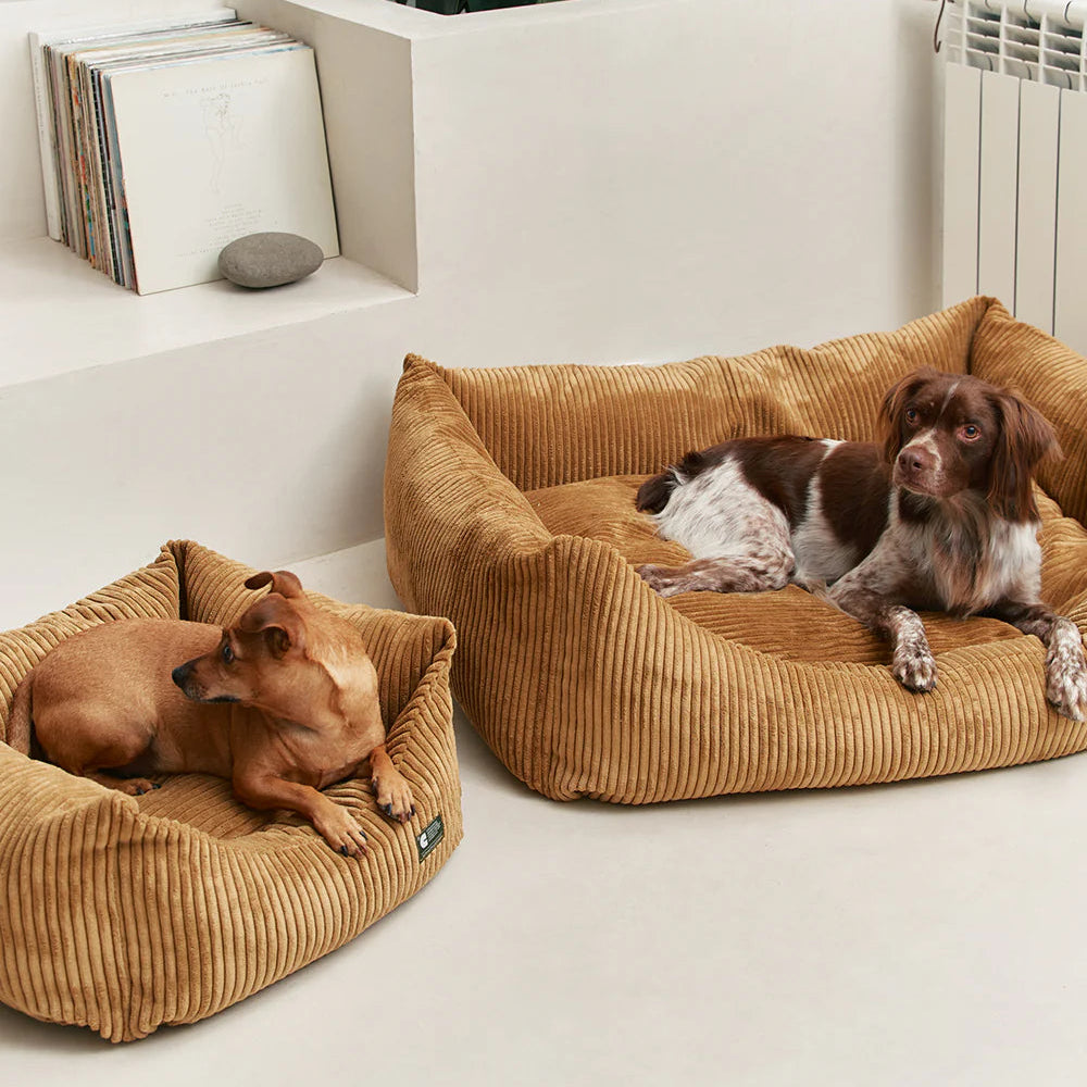 Dog Bed - Snozy