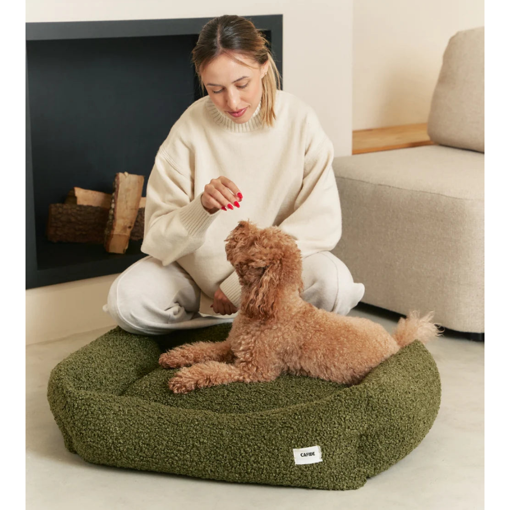 Dog Bed - Snozy