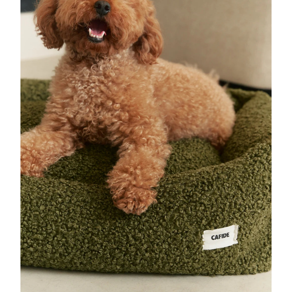 Dog Bed - Snozy