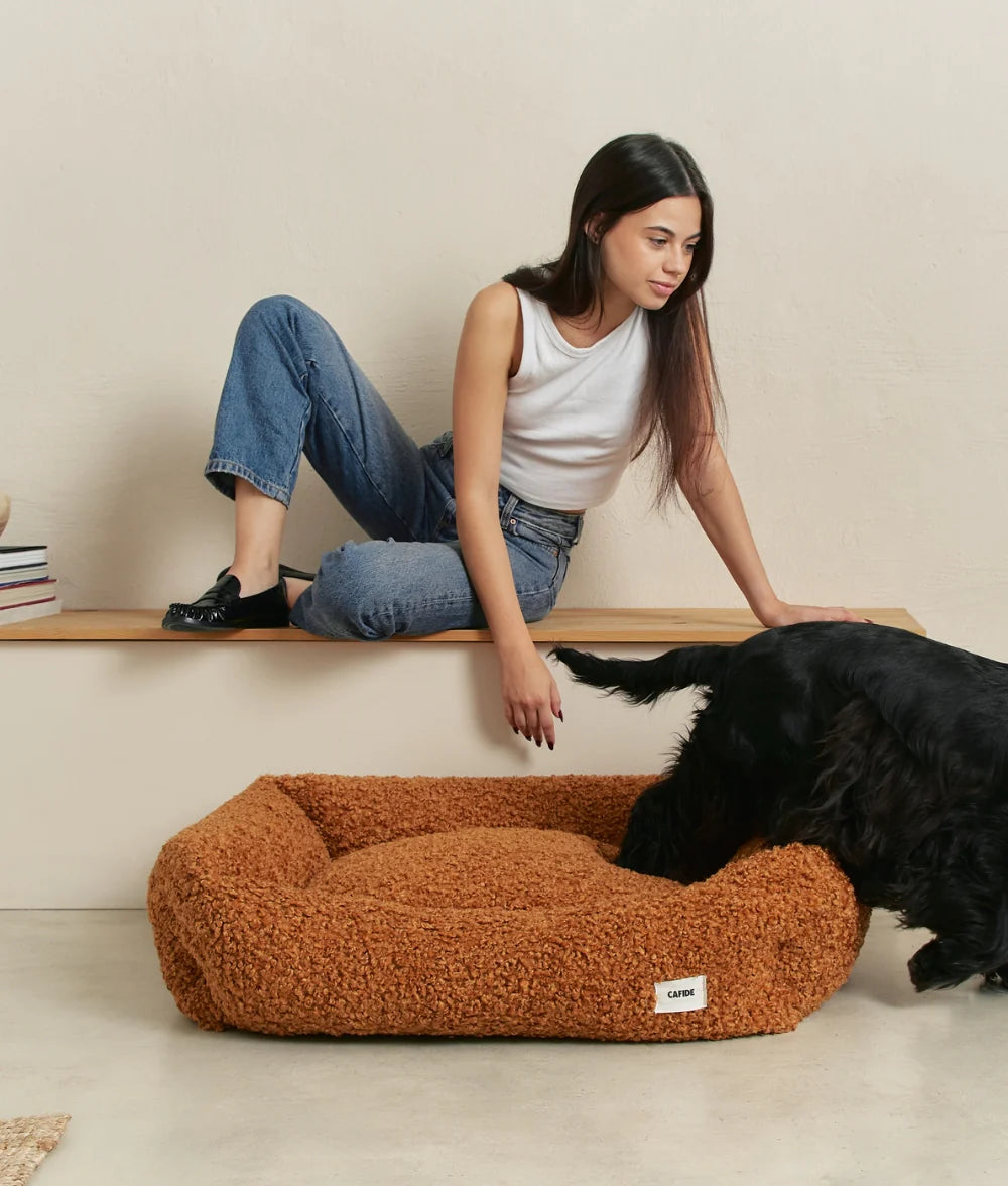 Dog Bed - Snozy