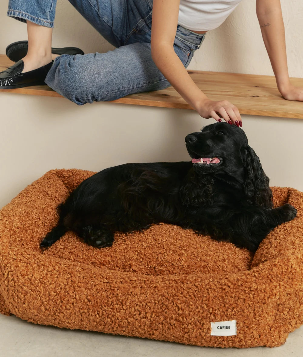 Dog Bed - Snozy