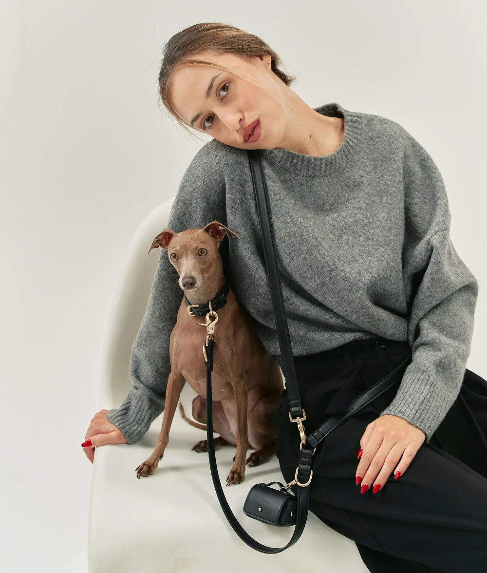 Dog Collar - Jala
