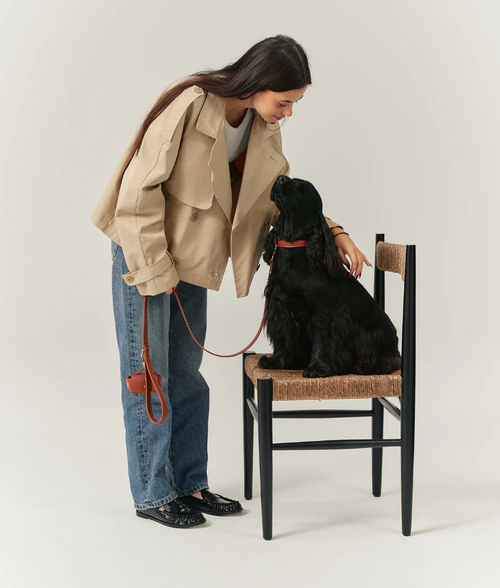 Dog Collar - Jala