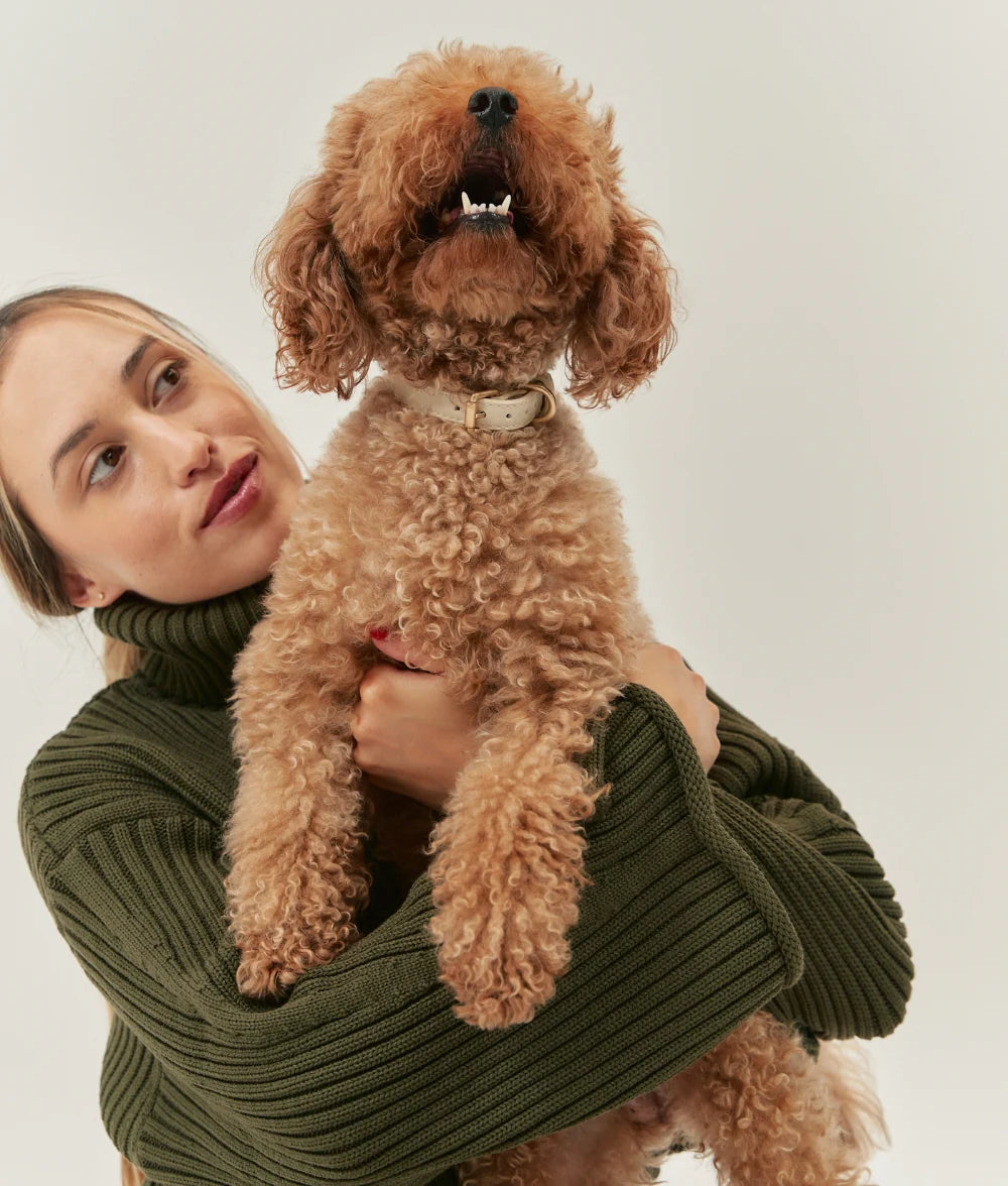 Dog Collar - Jala