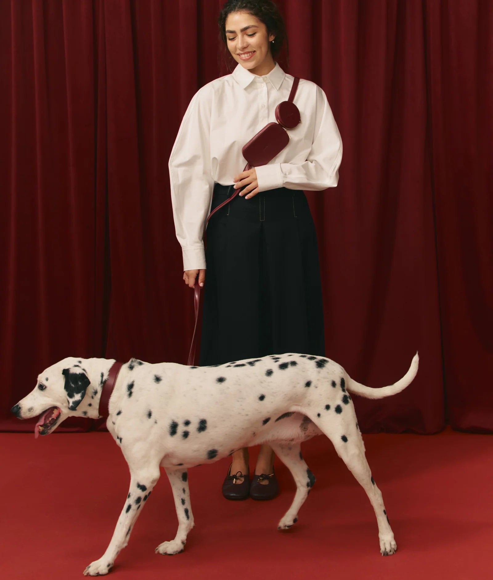 Dog Collar - Jala
