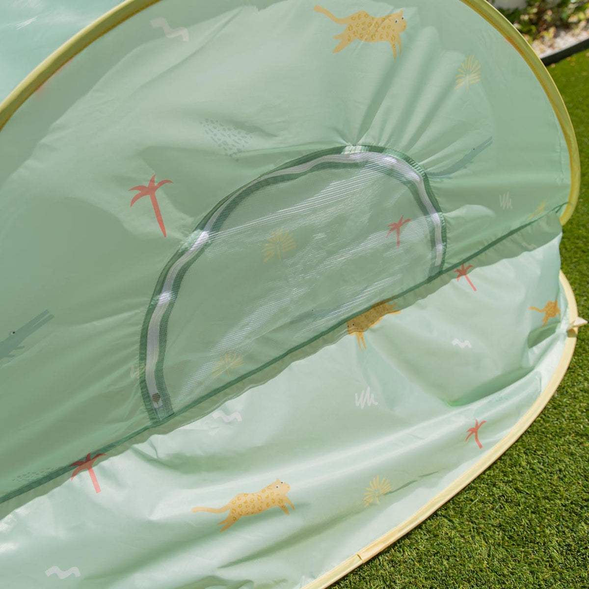 Pop-up Tent