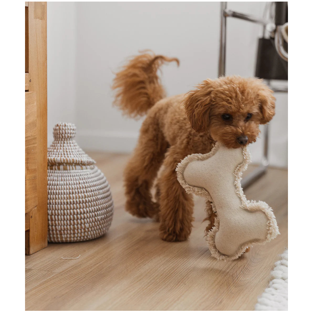 Bone-shaped Dog Toy