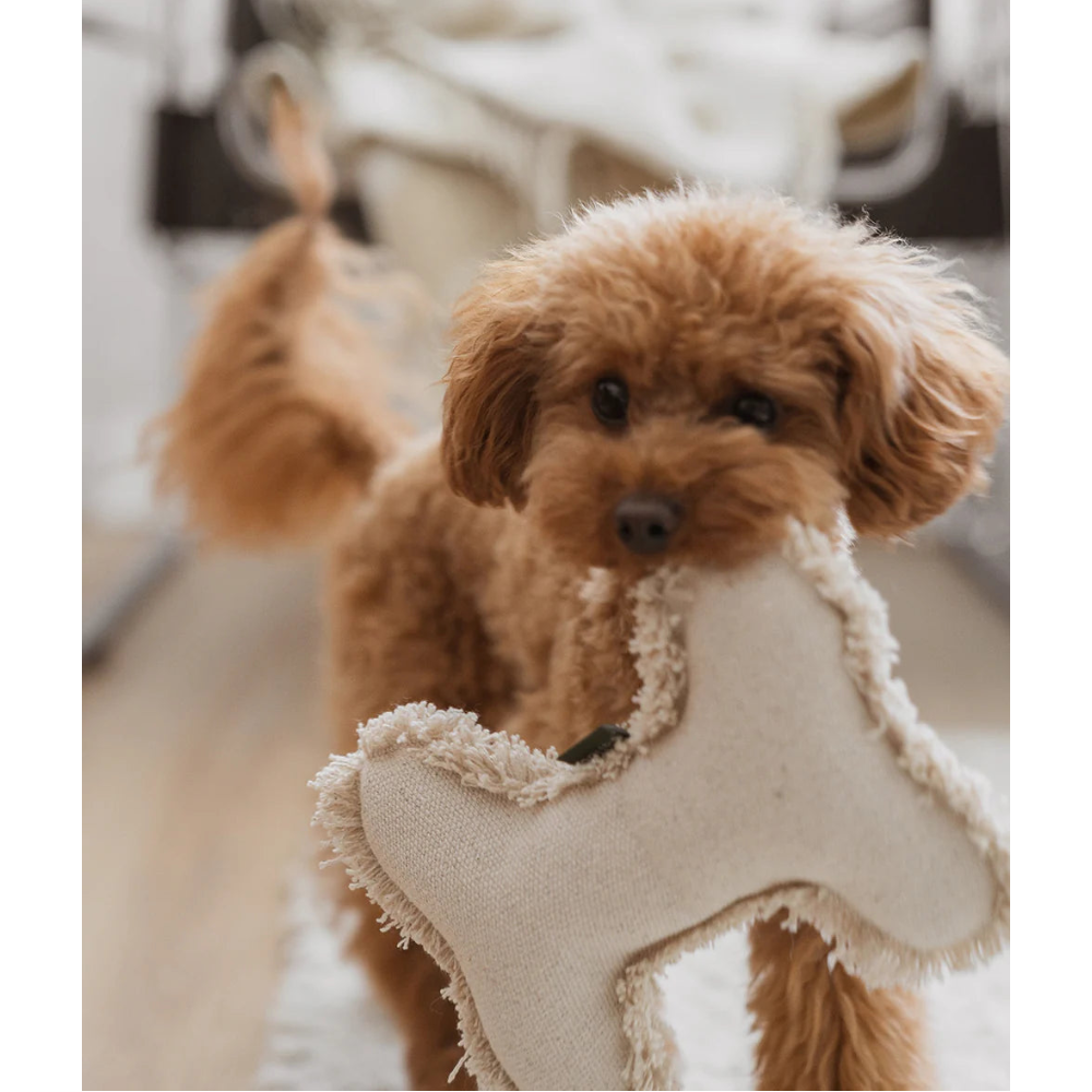 Bone-shaped Dog Toy