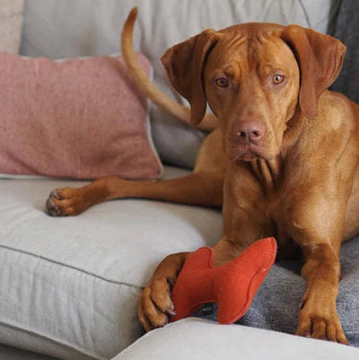 Bone-shaped Dog Toy