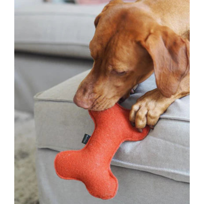 Bone-shaped Dog Toy