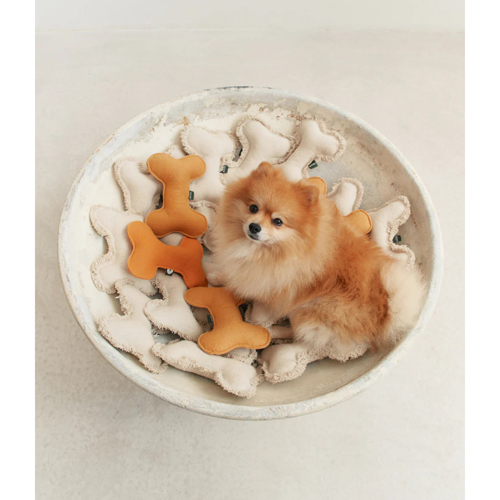 Bone-shaped Dog Toy