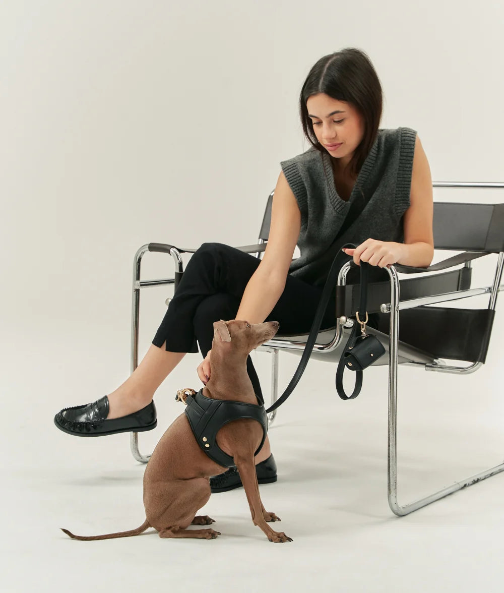 Dog Harness - Jala