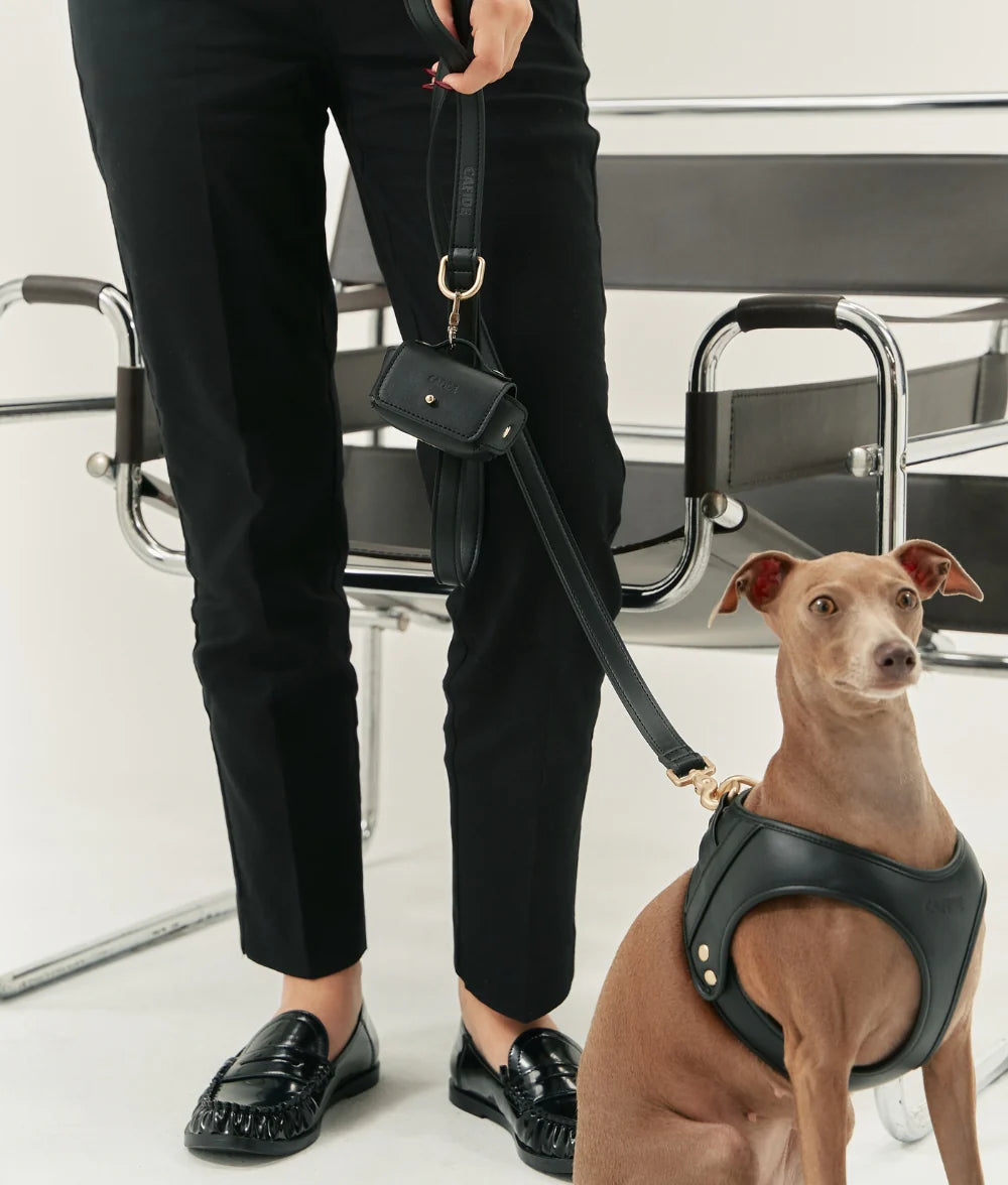 Dog Harness - Jala