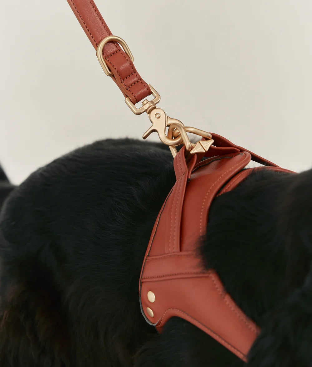 Dog Harness - Jala