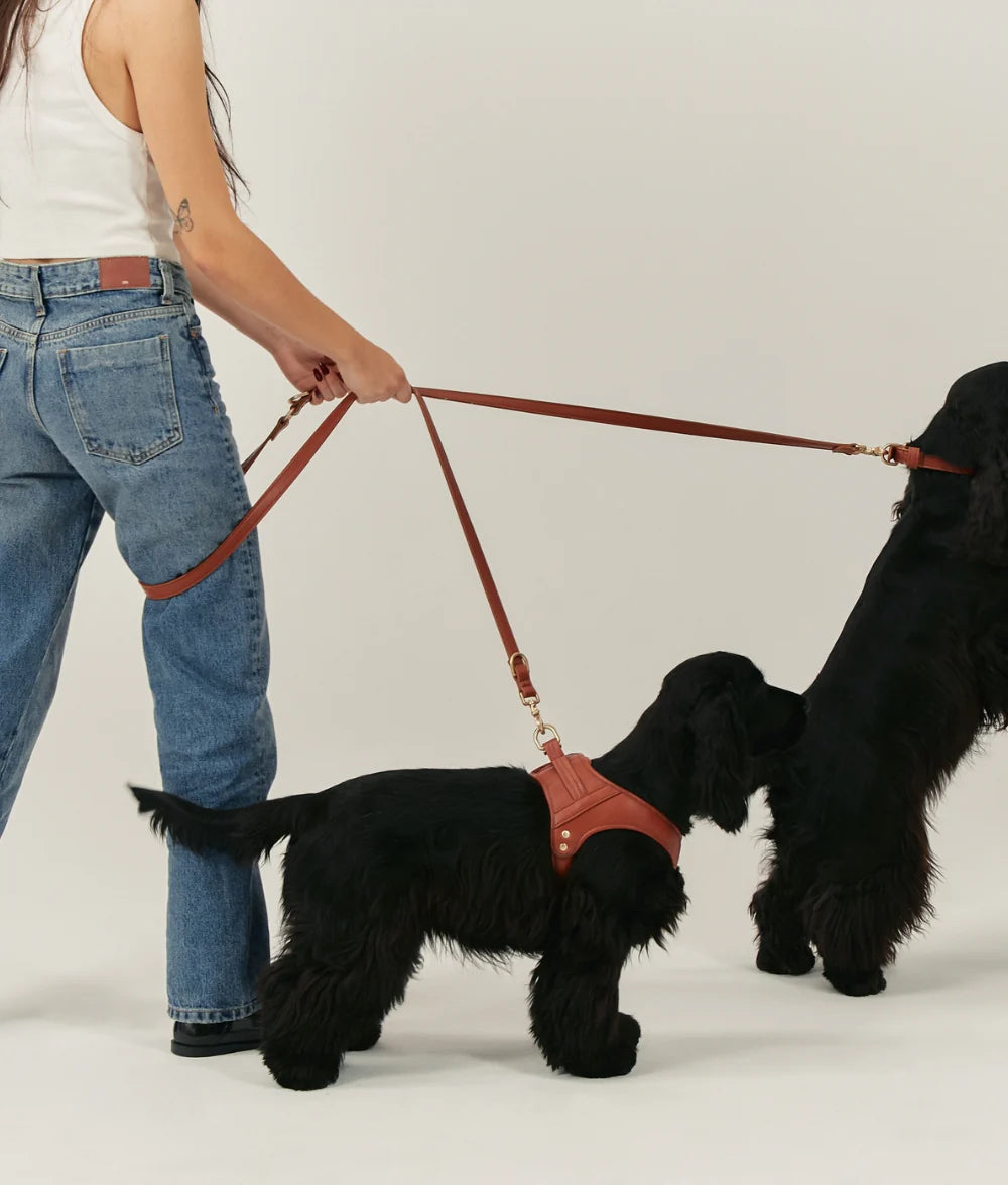Dog Harness - Jala