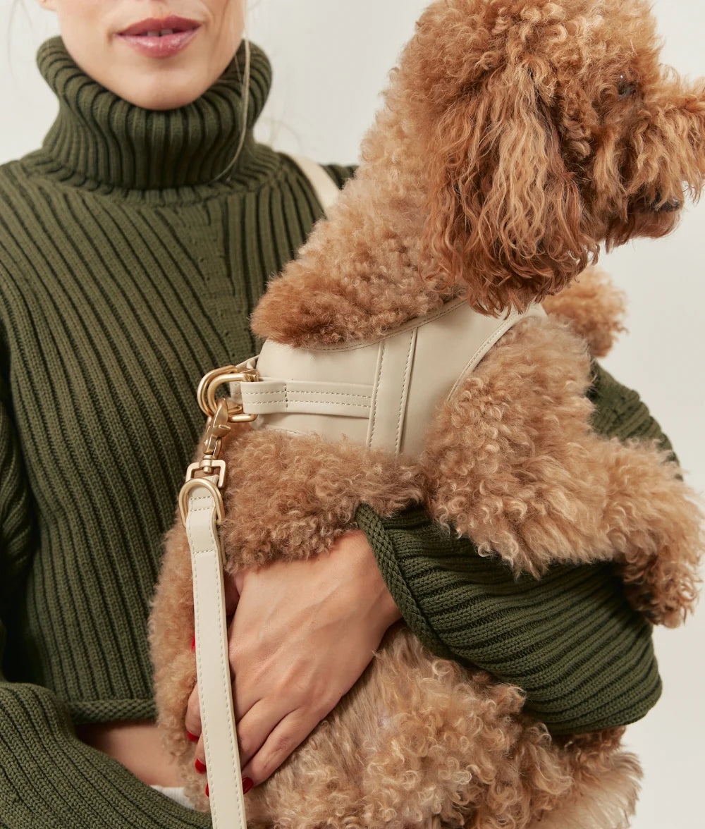 Dog Harness - Jala
