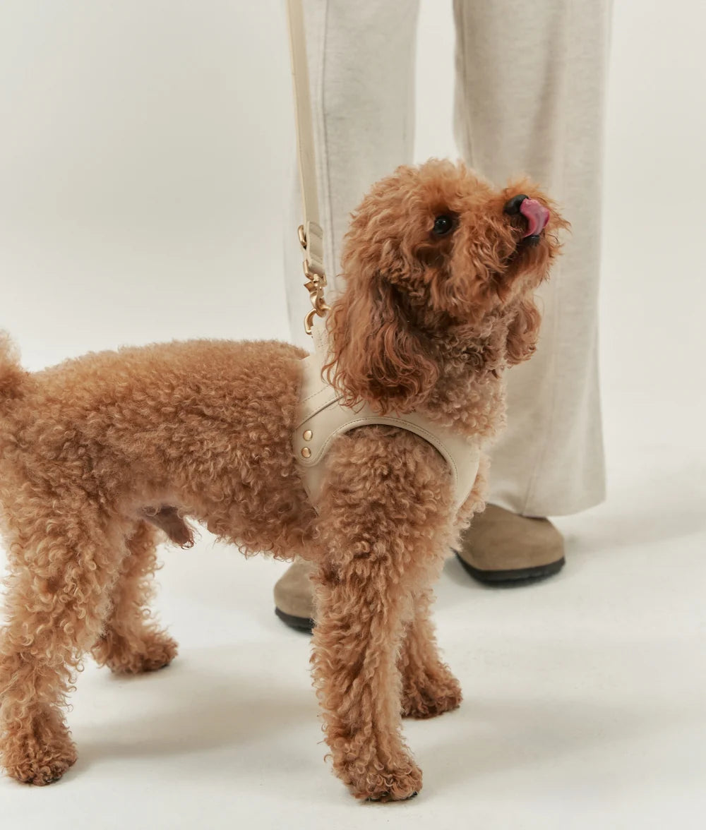 Dog Harness - Jala