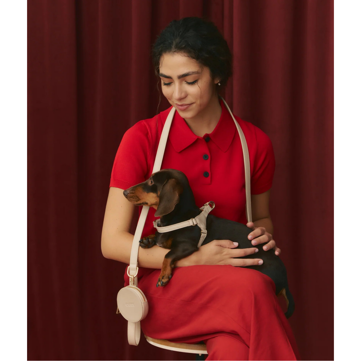 Dog Harness- Step in - Jala