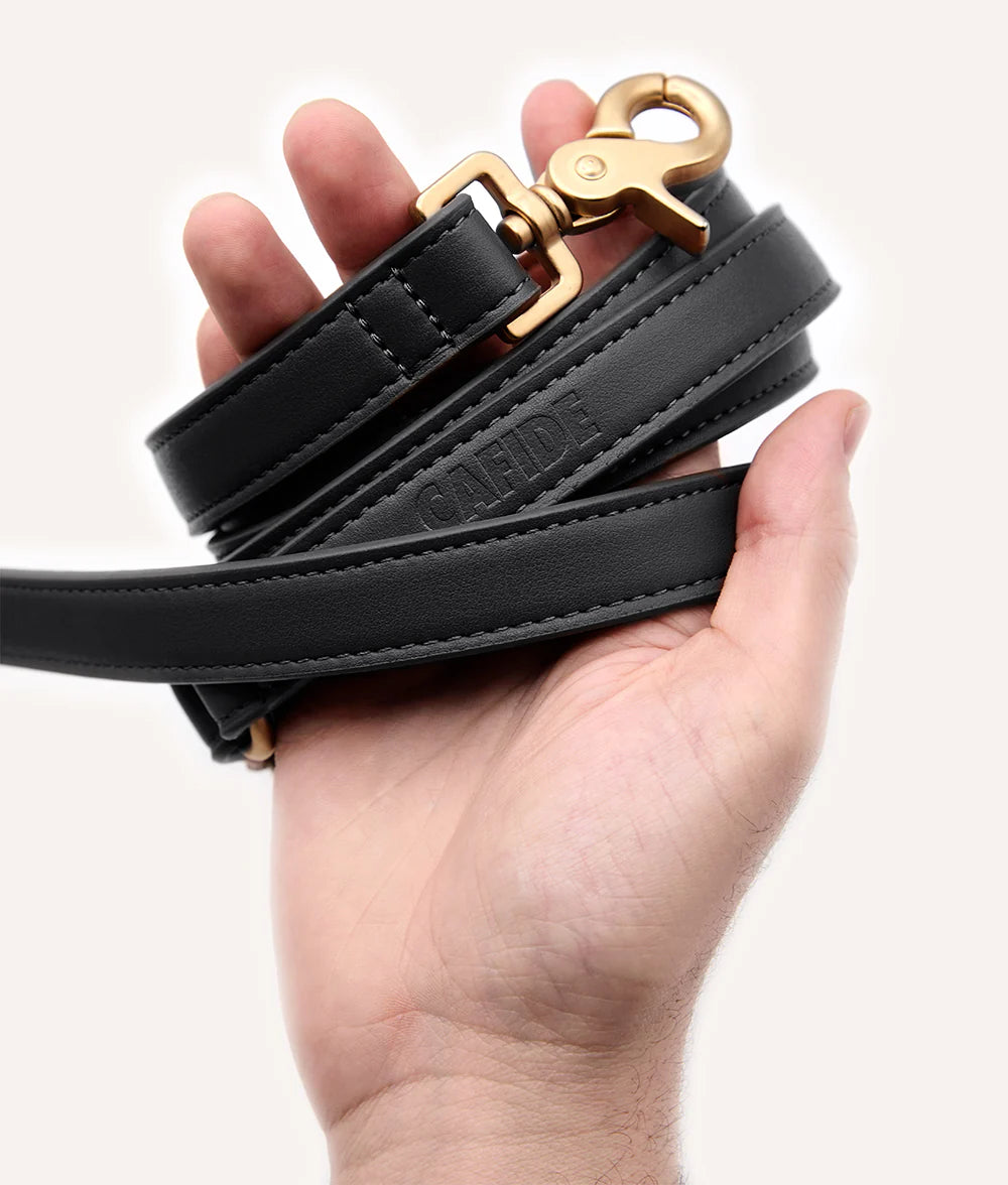 Multi-Position Leash - Jala