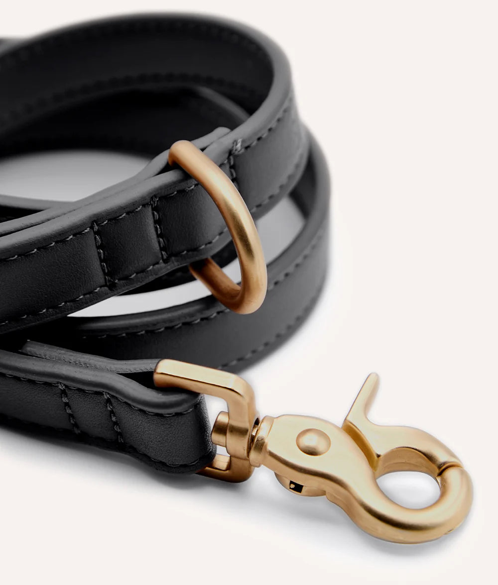 Leash - Jala