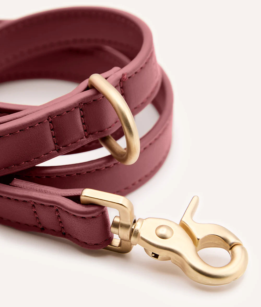Leash - Jala