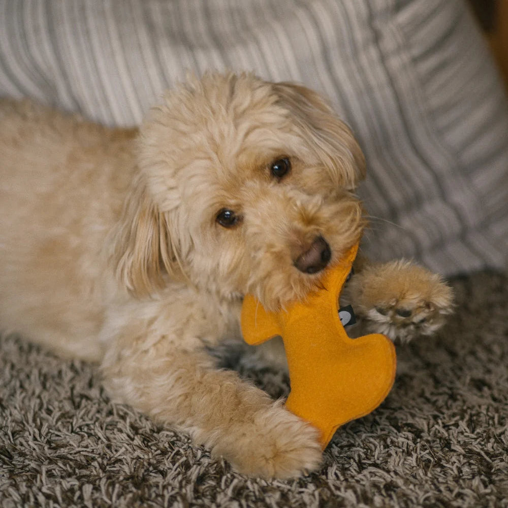 Bone-shaped Dog Toy