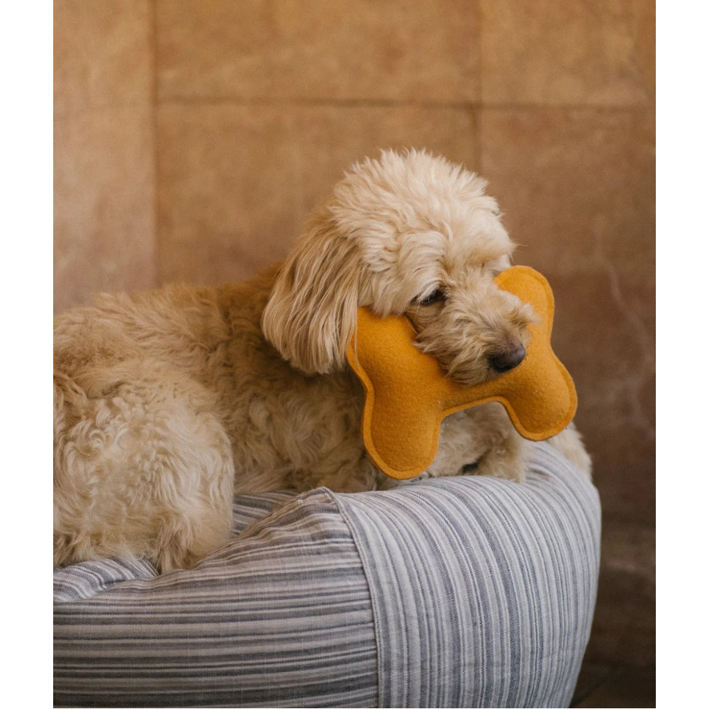 Bone-shaped Dog Toy