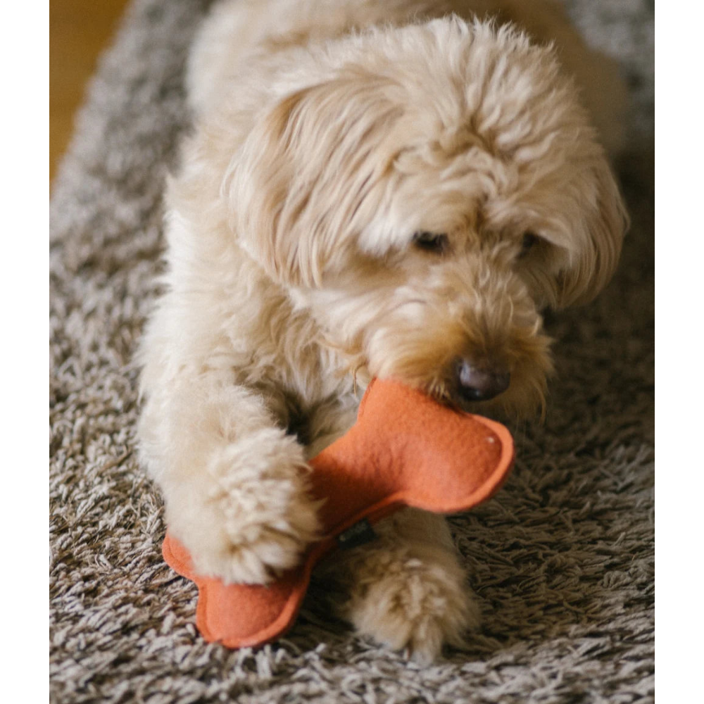 Bone-shaped Dog Toy