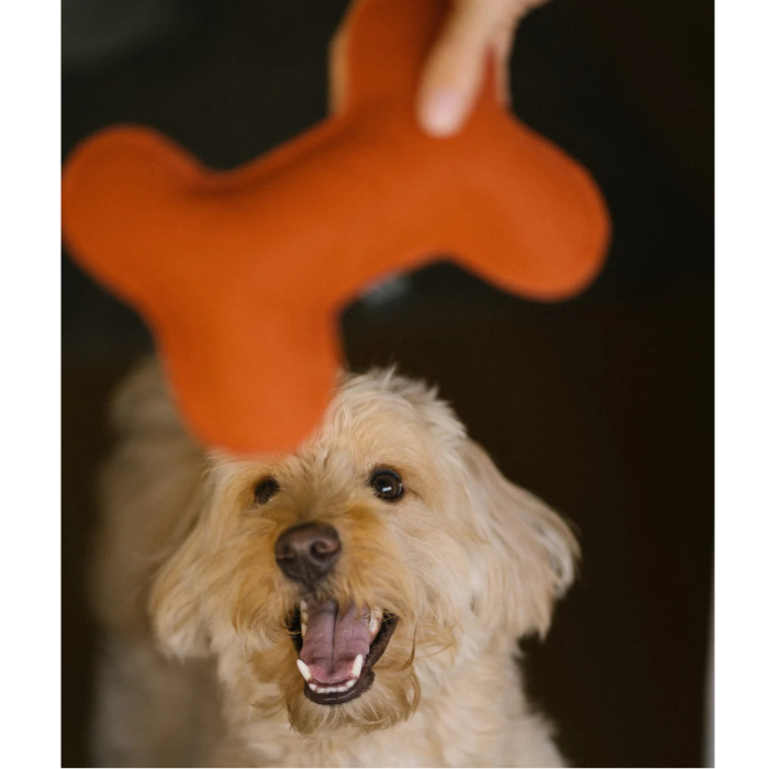 Bone-shaped Dog Toy