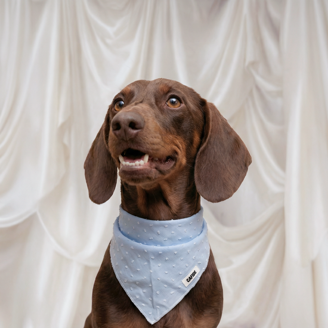 Dog Bandana - Nata