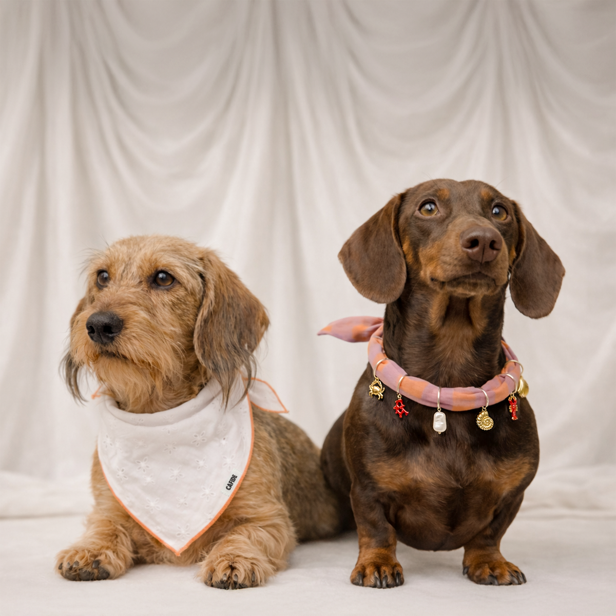 Dog Bandana - Nata