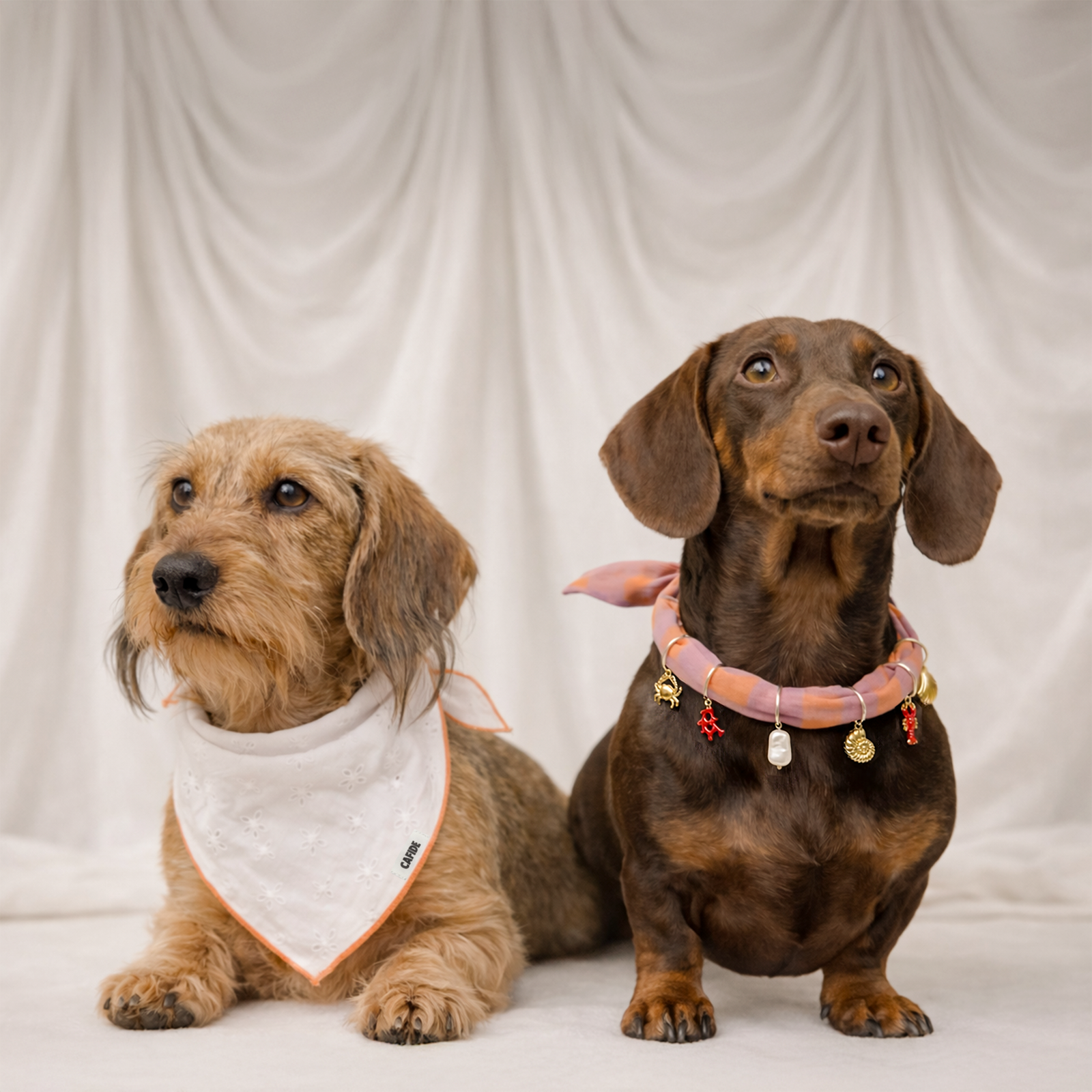 Dog Bandana - Nata