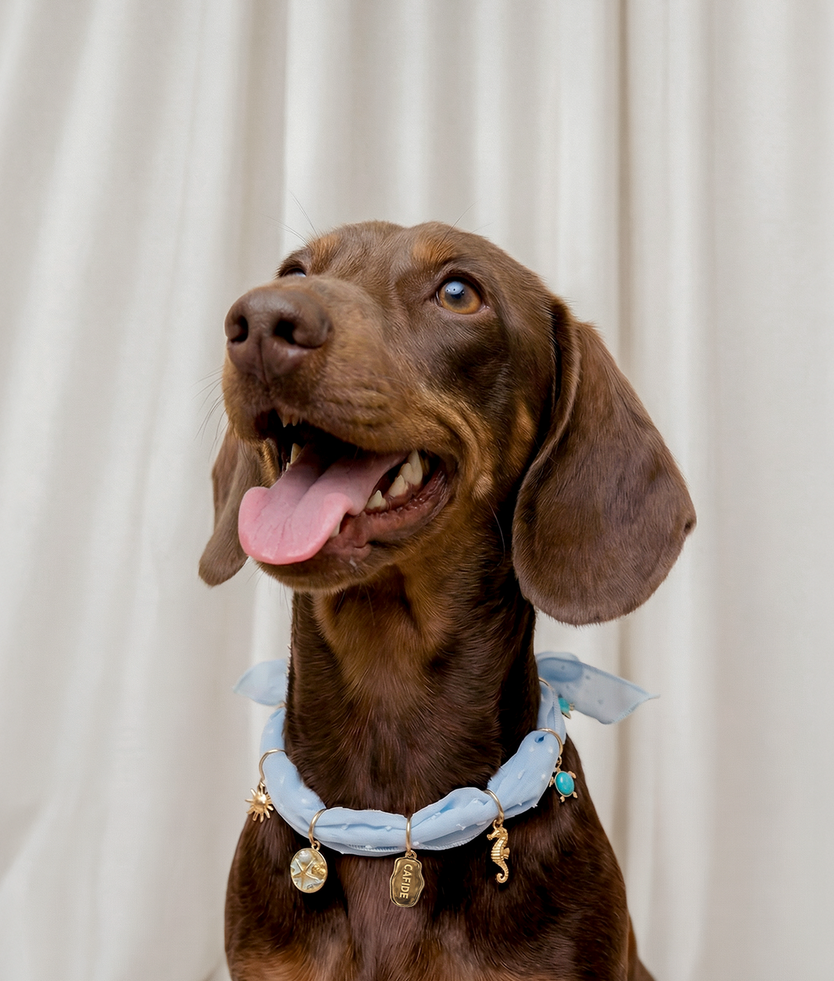 Dog Charms - Sira