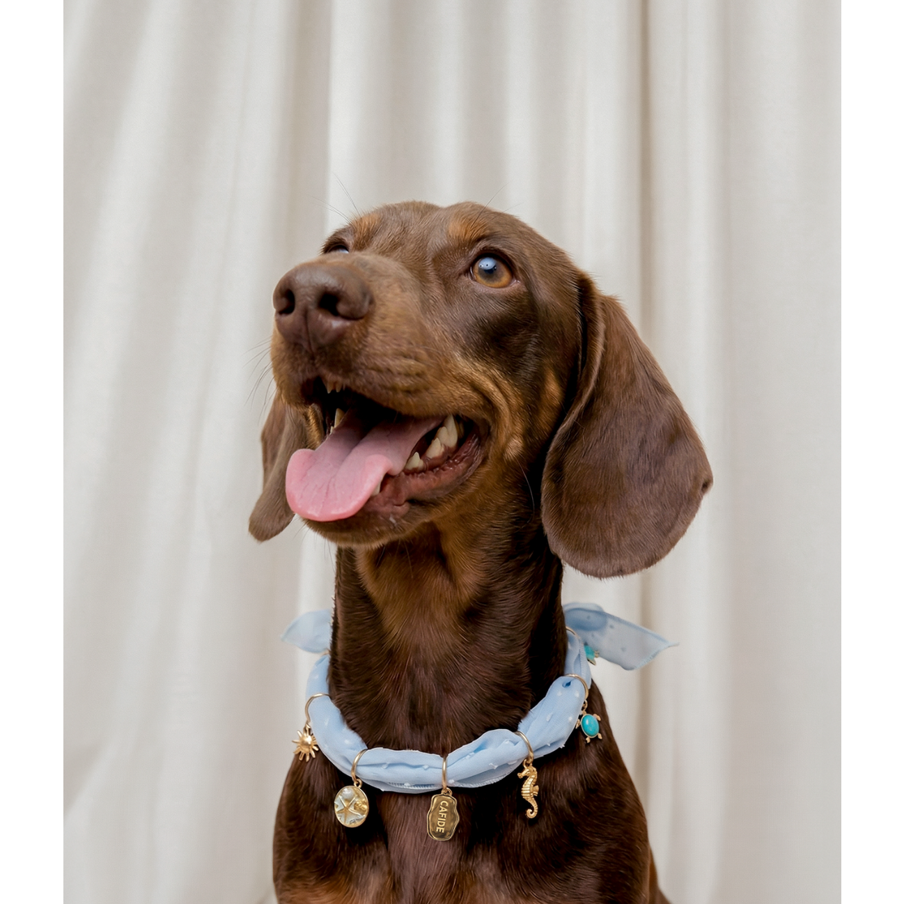 Dog Charms - Sira