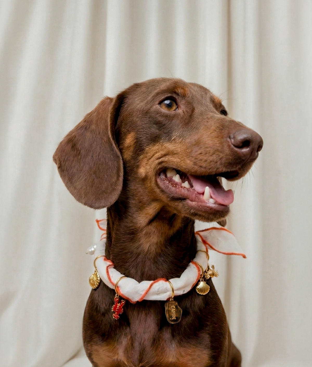 Dog Charms - Sira