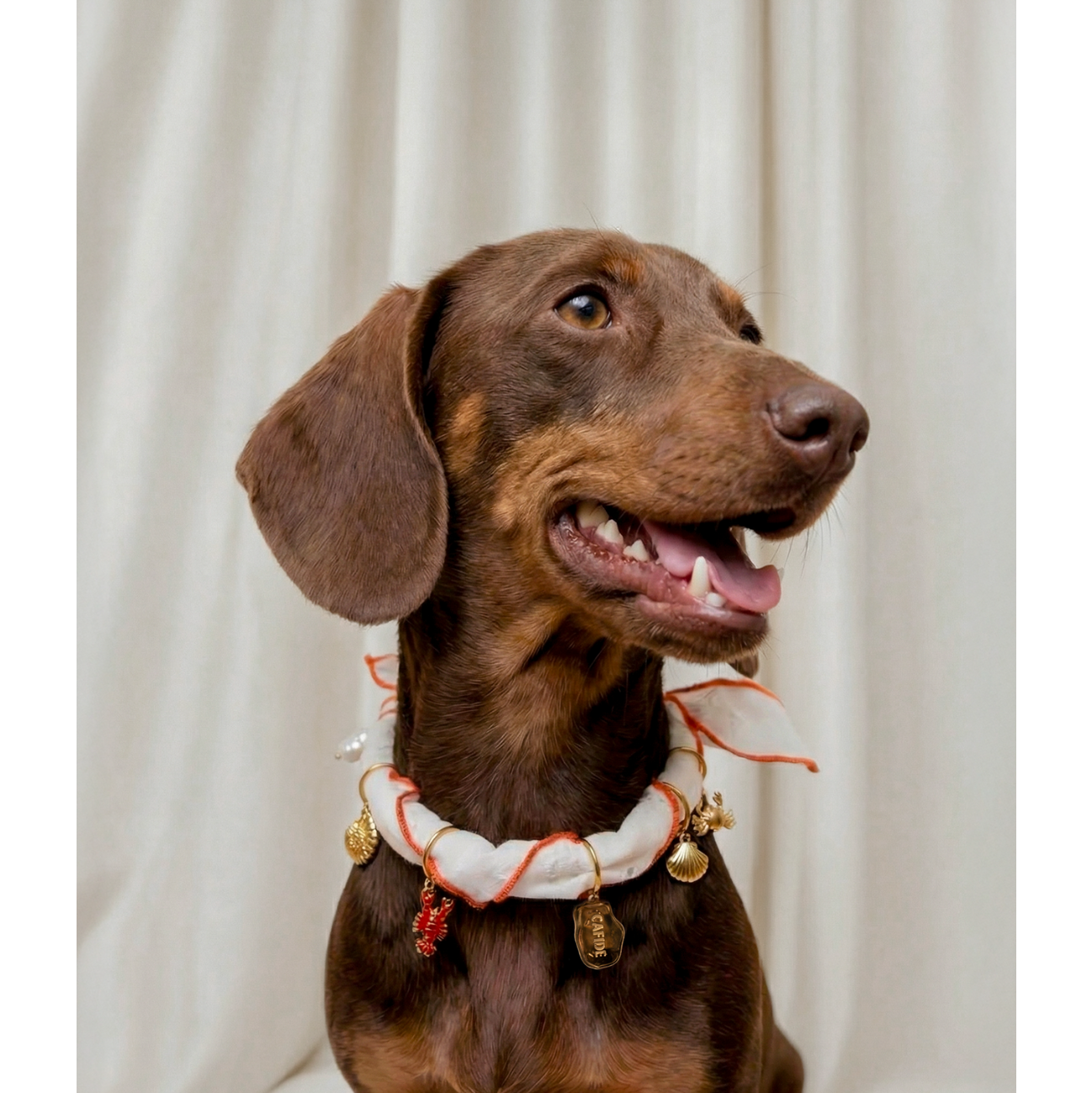 Dog Charms - Sira