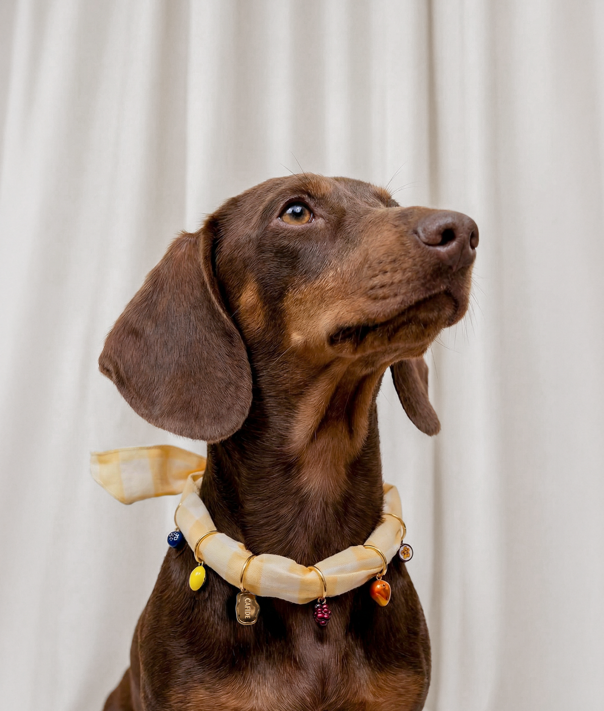 Dog Charms - Sira