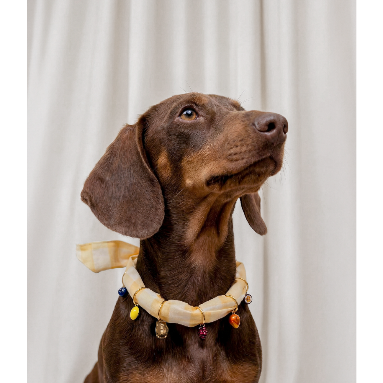 Dog Charms - Sira