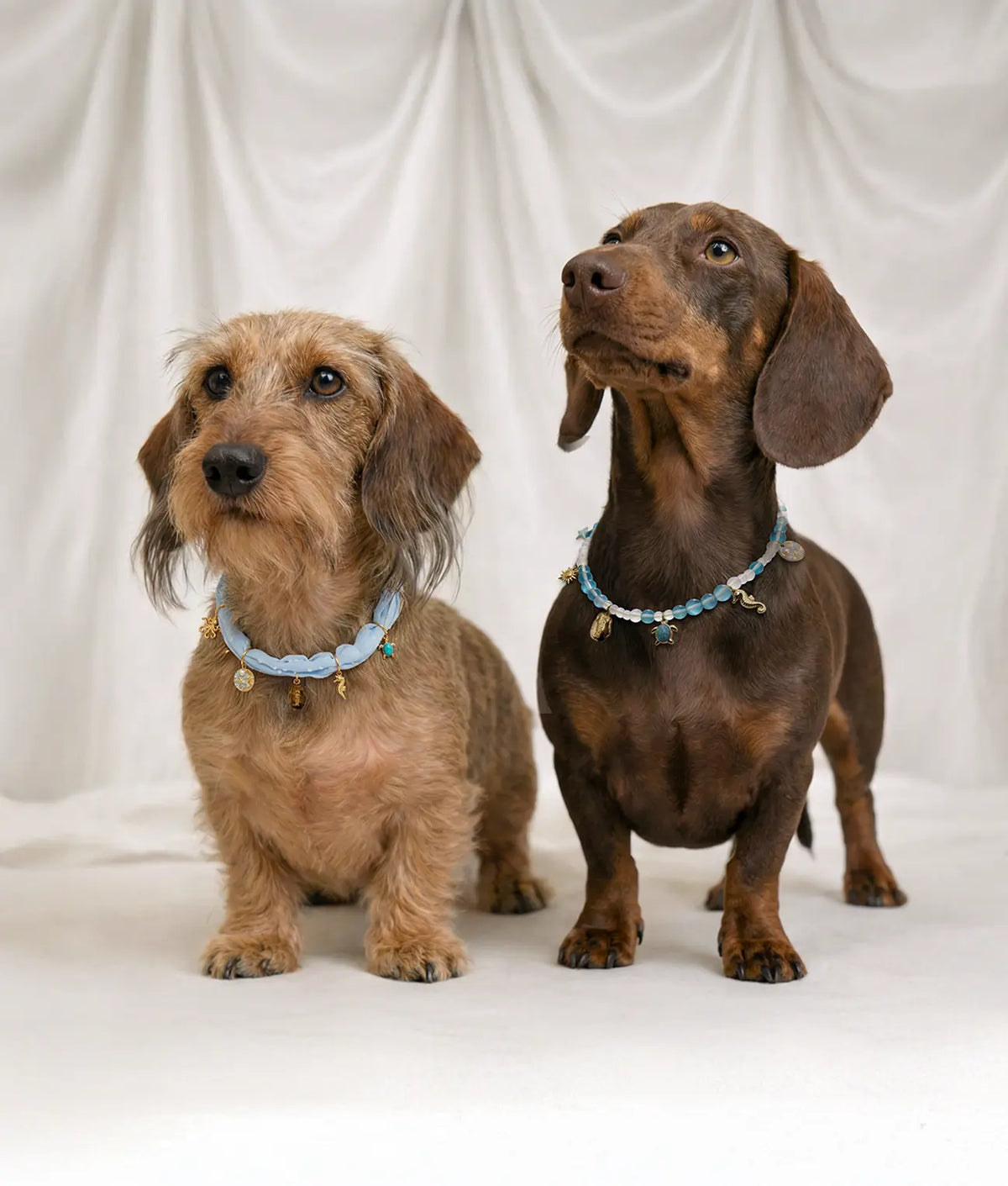 Dog Charms - Sira