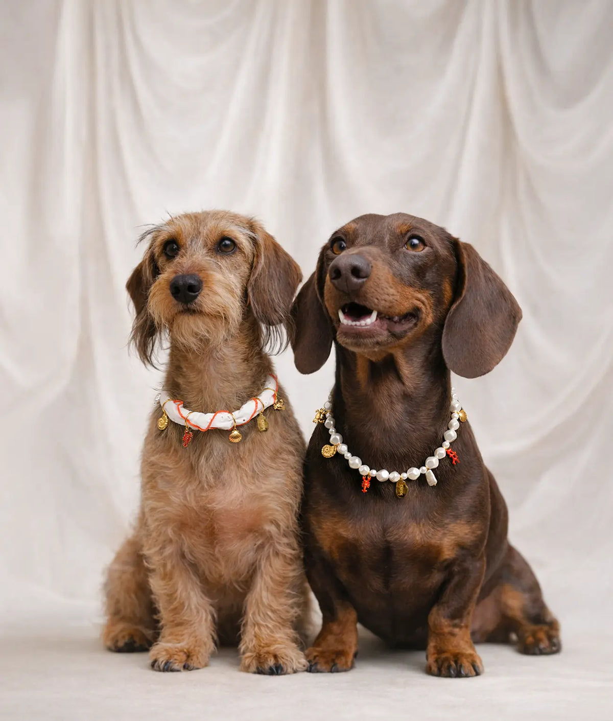Dog Charms - Sira