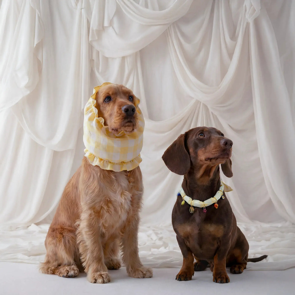Dog Charms - Sira