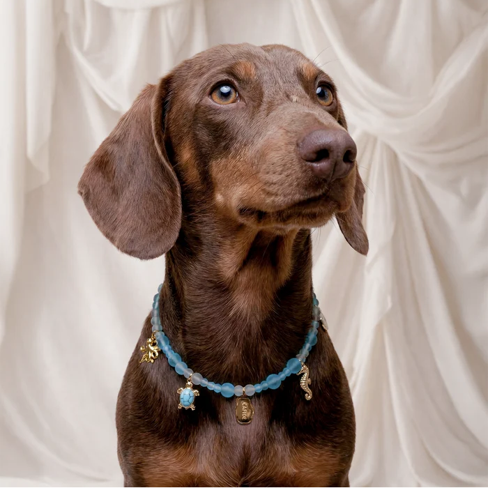 Dog Necklace - Sira