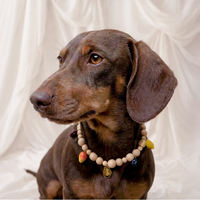 Dog Necklace - Sira