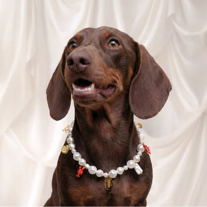 Dog Necklace - Sira
